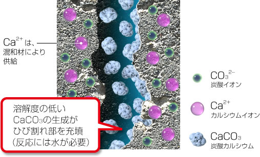Ca2+は、混和材により供給 溶解度の低いCaCO3の生成がひび割れ部を充填（反応には水が必要） CO32-：炭酸イオン Ca2+：カルシウムイオン CaCO3：炭酸カルシウム